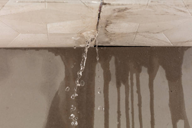 Professional Water Damage Repair technician working in Princeton, IN